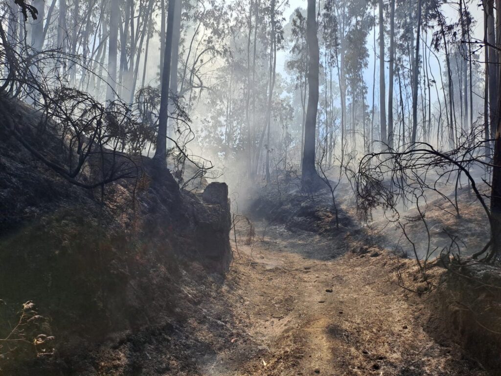 Braga Inc Ndio Em Tadim Mobiliza Mais De Operacionais Apoiados Por