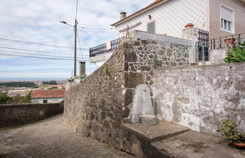 Póvoa de Varzim terroso