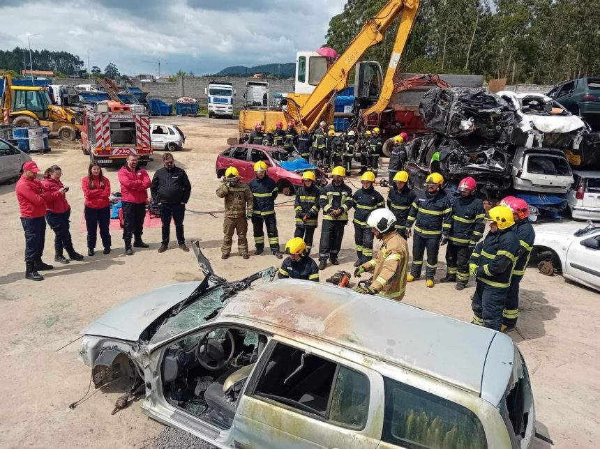 Fao esposende formação