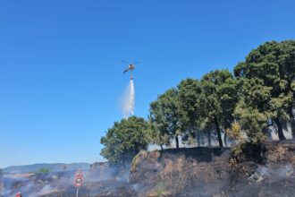 incendio forjaes esposende
