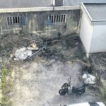lixo ratazanas braga