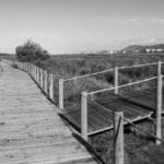 BW Restinga CR 1 FocusFillWzczNiw0MTQsZmFsc2UsMF0