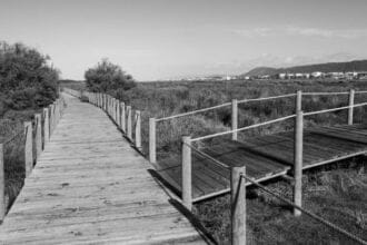 BW Restinga CR 1 FocusFillWzczNiw0MTQsZmFsc2UsMF0