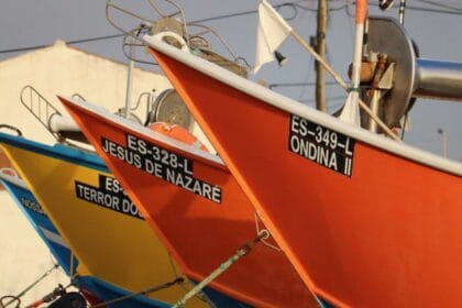 Pescadores pesca vila do conde
