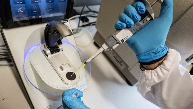 Minho: UM com mais de meia centena de cientistas entre os mais influentes do mundo Foto