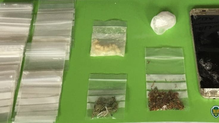 Detido por tráfico de droga em Esposende GNR Braga Apreensao FocusFillWzczNiw0MTQsIngiLDEyN10