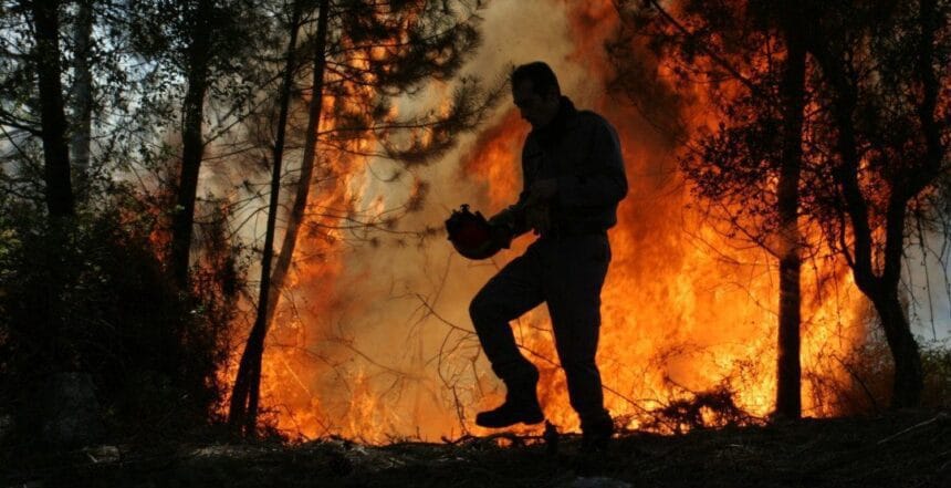 incendio arcos de valdevez bombeiros