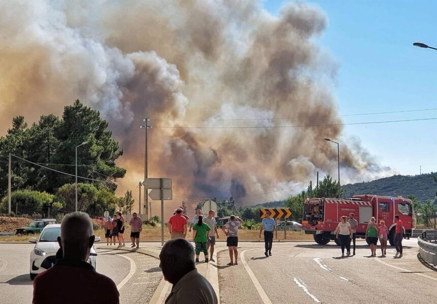 Incêndios: Fogo de Alijó reativou hoje de manhã e meios continuam no terreno alijo