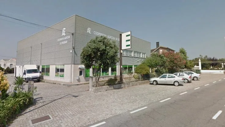cooperativa de esposende
