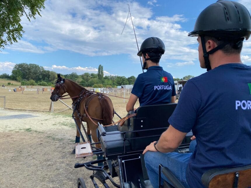 Hipismo: Jovem esposendense começa hoje luta no europeu de atrelagem da Hungria 298490495 436604525150002 3322055989261628713 n