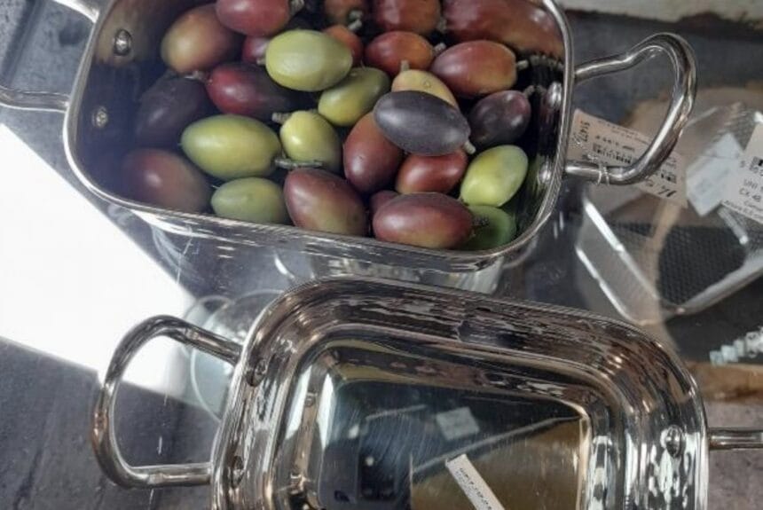 ASAE apreende em Barcelos imitações perigosas de alimentos Captura de ecra 2022 08 18 as 16.55.42