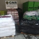 GNR UCC Apreensao ameijoa japonesa 1