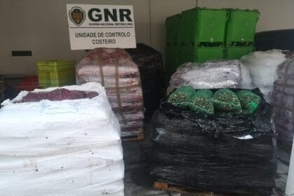 GNR UCC Apreensao ameijoa japonesa 1