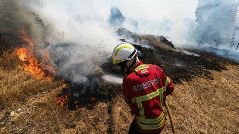 Incêndio em mato mobiliza bombeiros na zona sul do concelho de Esposende incendio