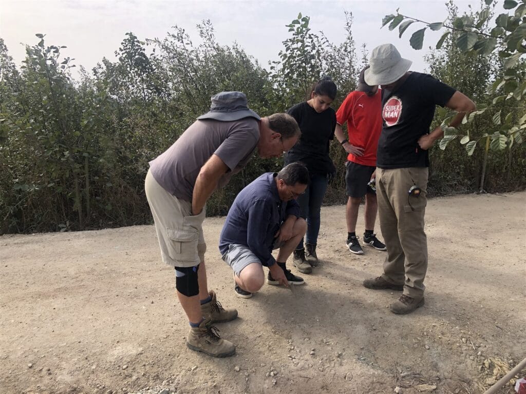 IMG 1476
