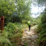 caminho geira braga