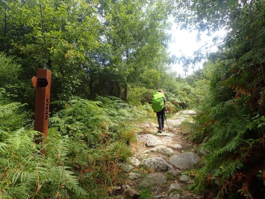 caminho geira braga