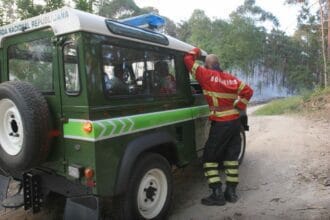 incendio albergaria-a-velha PJ viana chafe