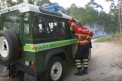 incendio albergaria-a-velha PJ viana chafe