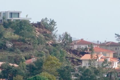 palmeira de faro benjamim pereira derrocada esposende