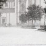 neve