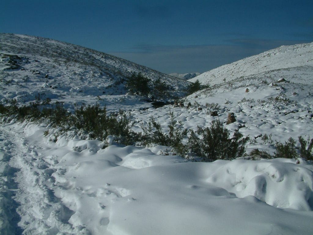 Neve em Portugal nos dias 23 e 24 de janeiro. Eis onde e com que intensidade Neve PNPG Geres