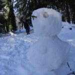 neve minho