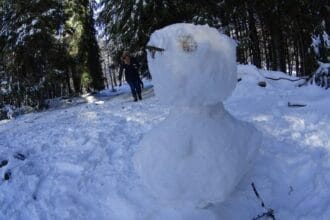 neve minho