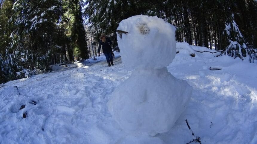 Minho sob aviso laranja devido à queda de neve até às 03h00 neve minho