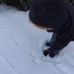 neve Minho