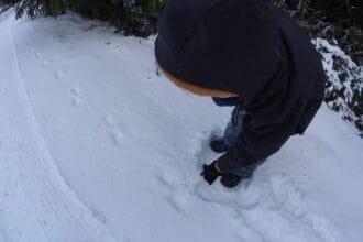 neve Minho