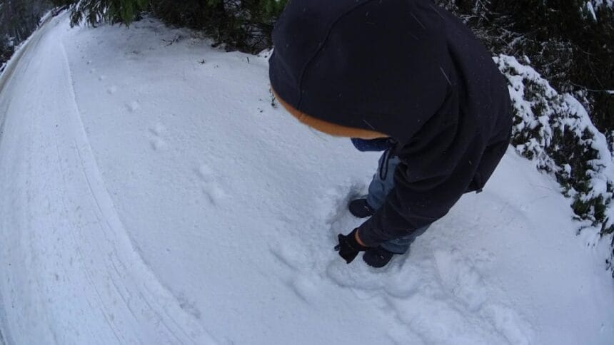 Neve para as terras altas do distrito de Braga e agitação marítima em Esposende neve Minho