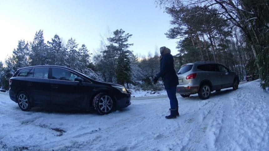 Alto Minho: Neve retém três carros no Parque Nacional da Peneda Gerês neve