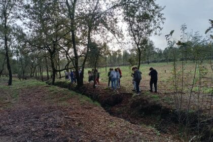 Semana Floresta Autoctone 1