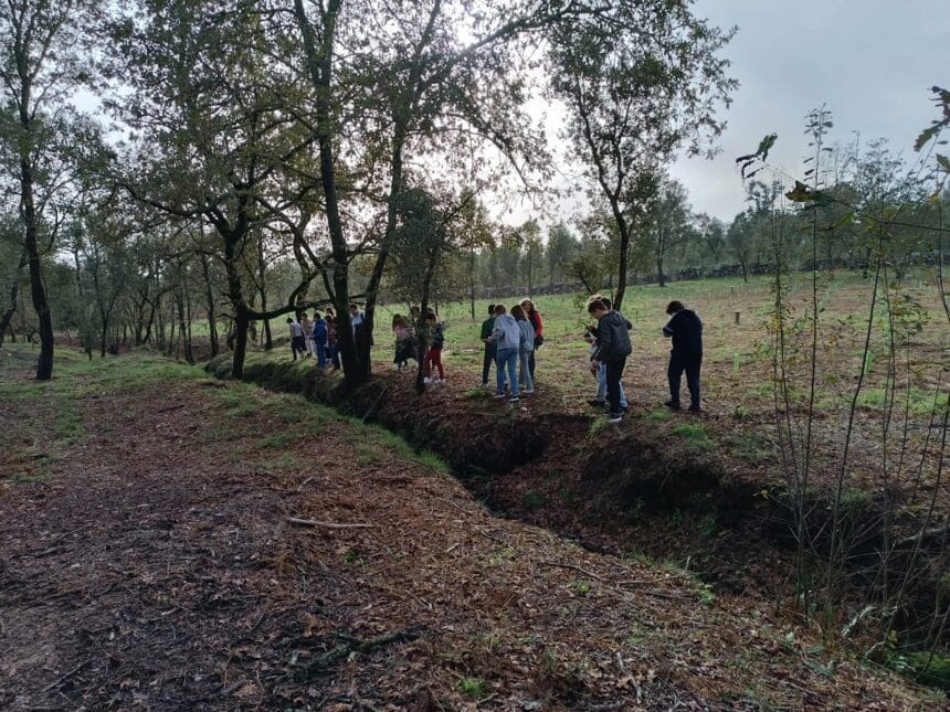 Esposende: Câmara preocupada com os 51% de espaços florestais do concelho Semana Floresta Autoctone 1