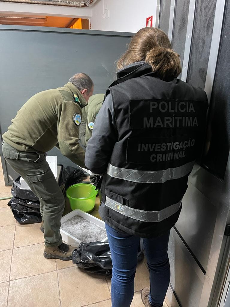 Polícia Marítima apreende meixão no valor de 1ME a caminho de Famalicão WhatsApp Image 2023 01 30 at 10.39.06