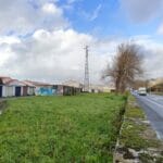 souto citadino