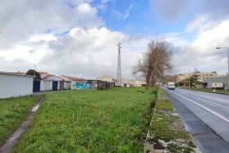 souto citadino