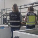 Captura de ecra 2023 02 24 as 12.46.29