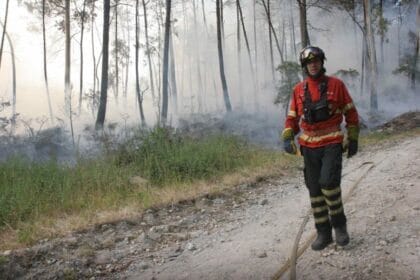 Incêndios bombeiro barcelos Alto Minho