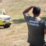 Sapador Florestal