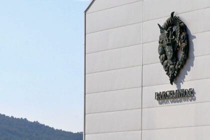 BV Barcelinhos