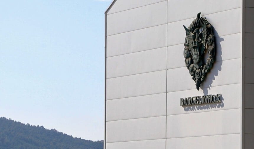 BV Barcelinhos