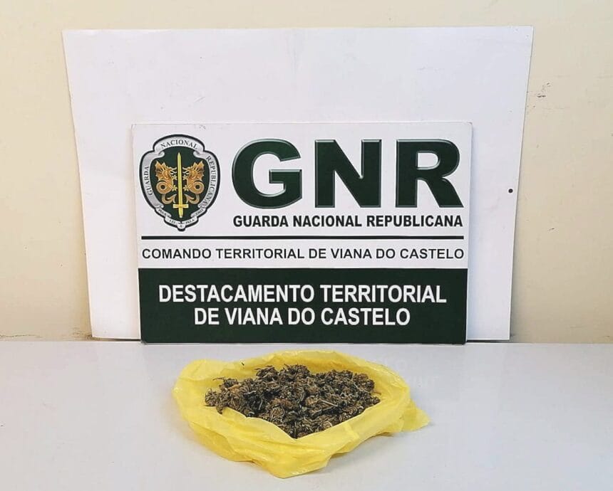 Viana: GNR detém homem por tráfico de droga em Caminha GNR Viana do Castelo Apreensao