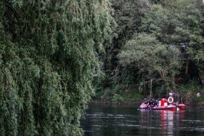 buscas Paredes de Coura morto