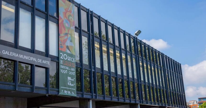 Barcelos: Há "jardins criativos" para ver dentro da Galeria Municipal e são autênticas obras de arte galeria arte barcelos 1
