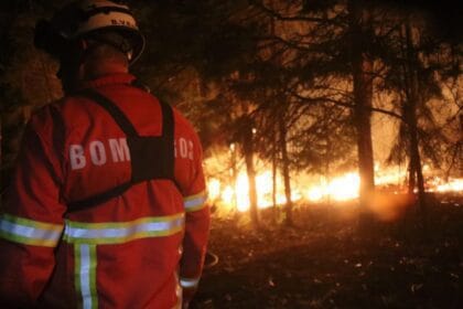 Incendios florestal