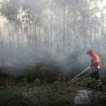 Incêndio Viana