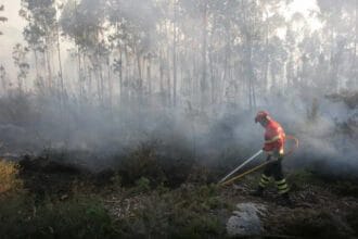 Incêndio Viana