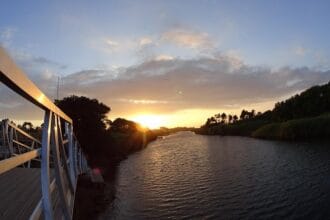 rio neiva viana